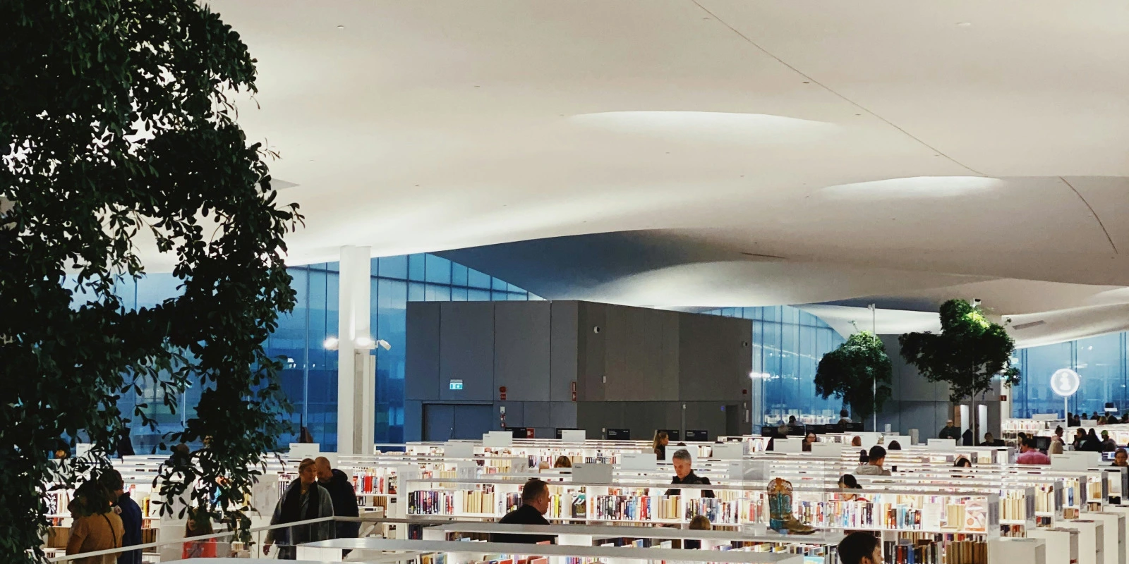 Alternance en BUT GEII : Guide pour les Étudiants