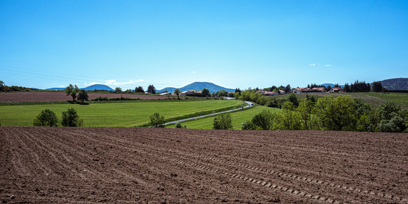 Compétences Développées en BUT GEII : Liste Complète