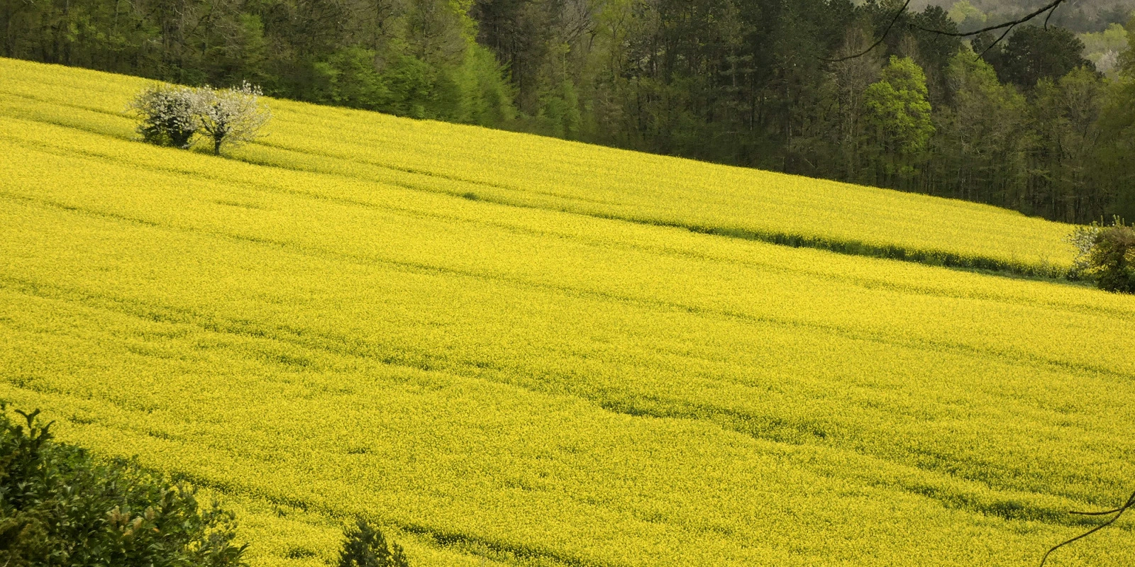 Decouvrir les Parcours du BUT GEII Decouvrir les Parcours du BUT GEII