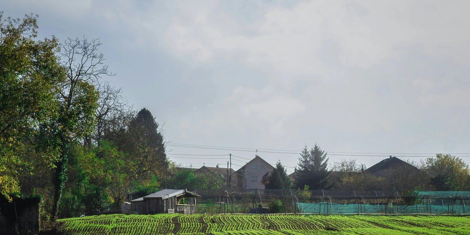 Inscription en BUT GEII : Ce Qu'il Faut Savoir