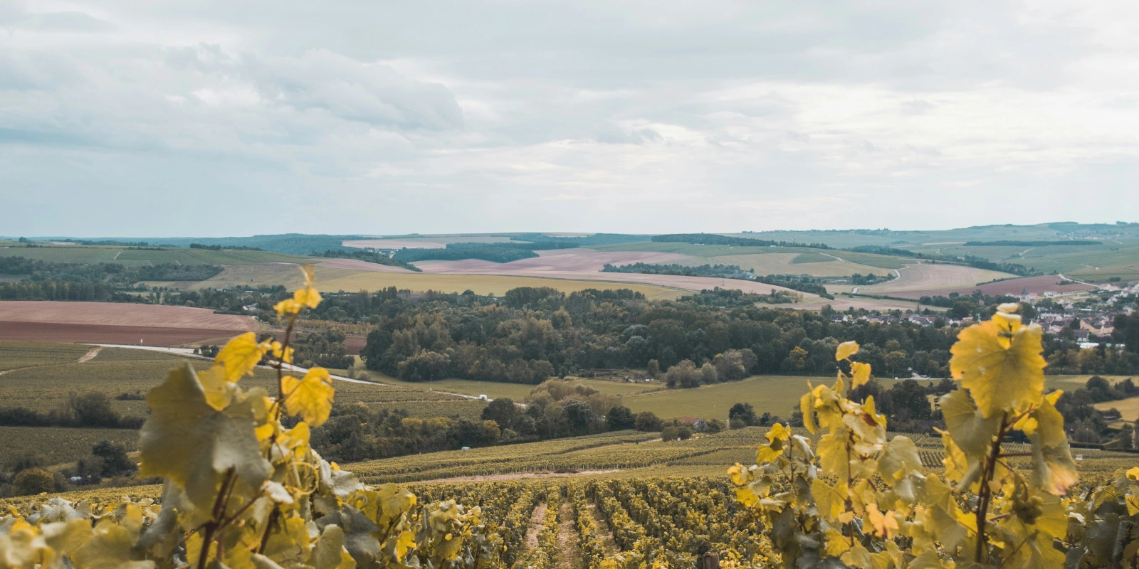 Le Programme BUT GEII : Année par Année Le Programme BUT GEII : Année par Année